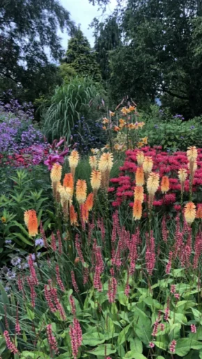 The Late Summer Garden 2026 Highfield Farm