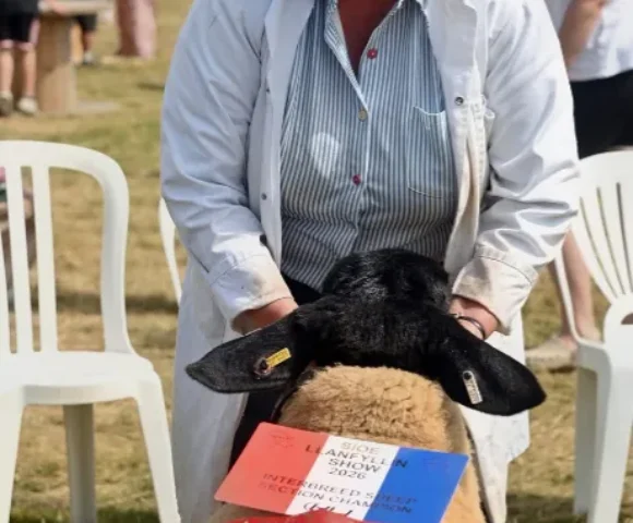 Action-packed Llanfyllin ‘Friendly Show’ Sets New Records