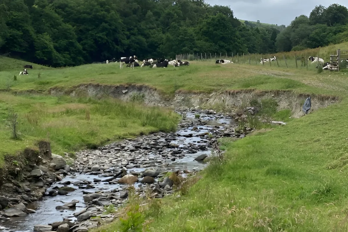 North Wales Rivers Trust: Restoration Round Up