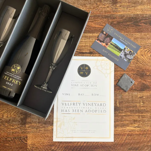 Velfry Vineyard - 2026 Catch Up Newsletter