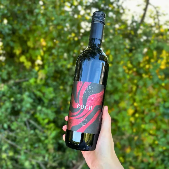 Velfry Vineyard - 2026 Catch Up Newsletter