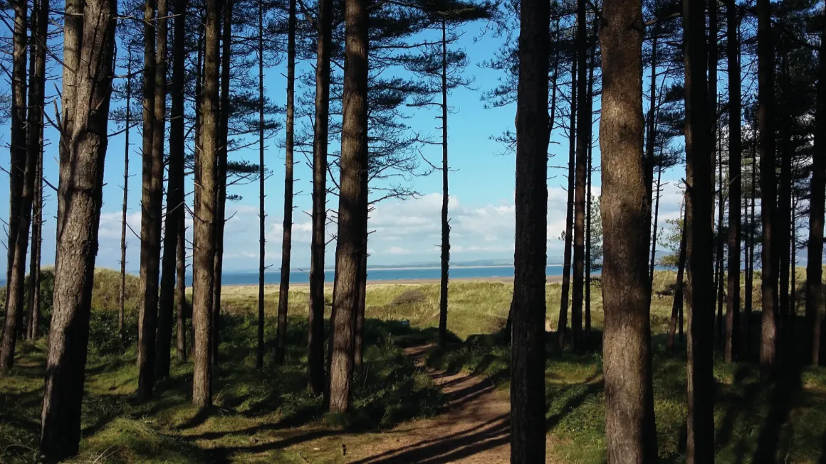Whiteford Bay