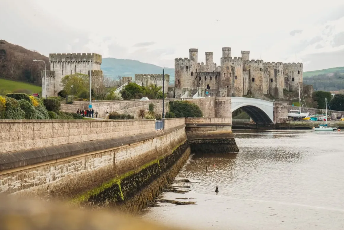 Why Do Remote Welsh Communities Embrace Digital Connectivity Faster Than Expected?