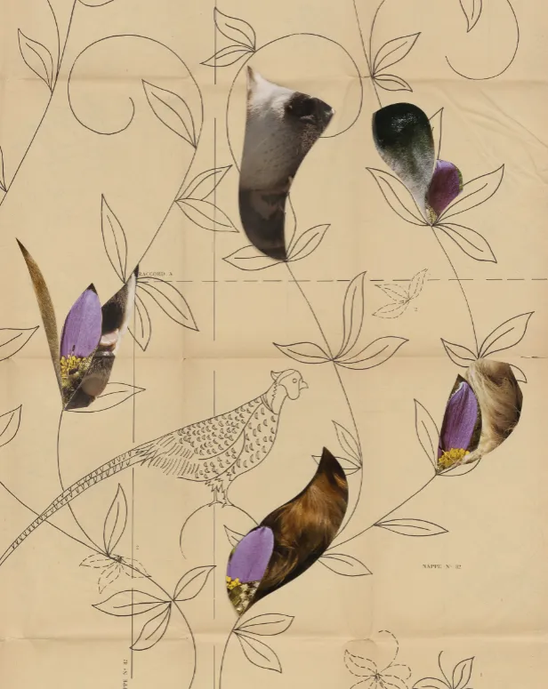 Éléonore False Brings Her Acclaimed Exhibition to Wales
