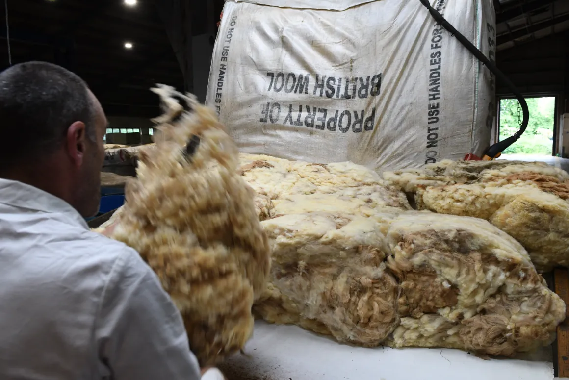 Solid Start to New Season Wool Sales
