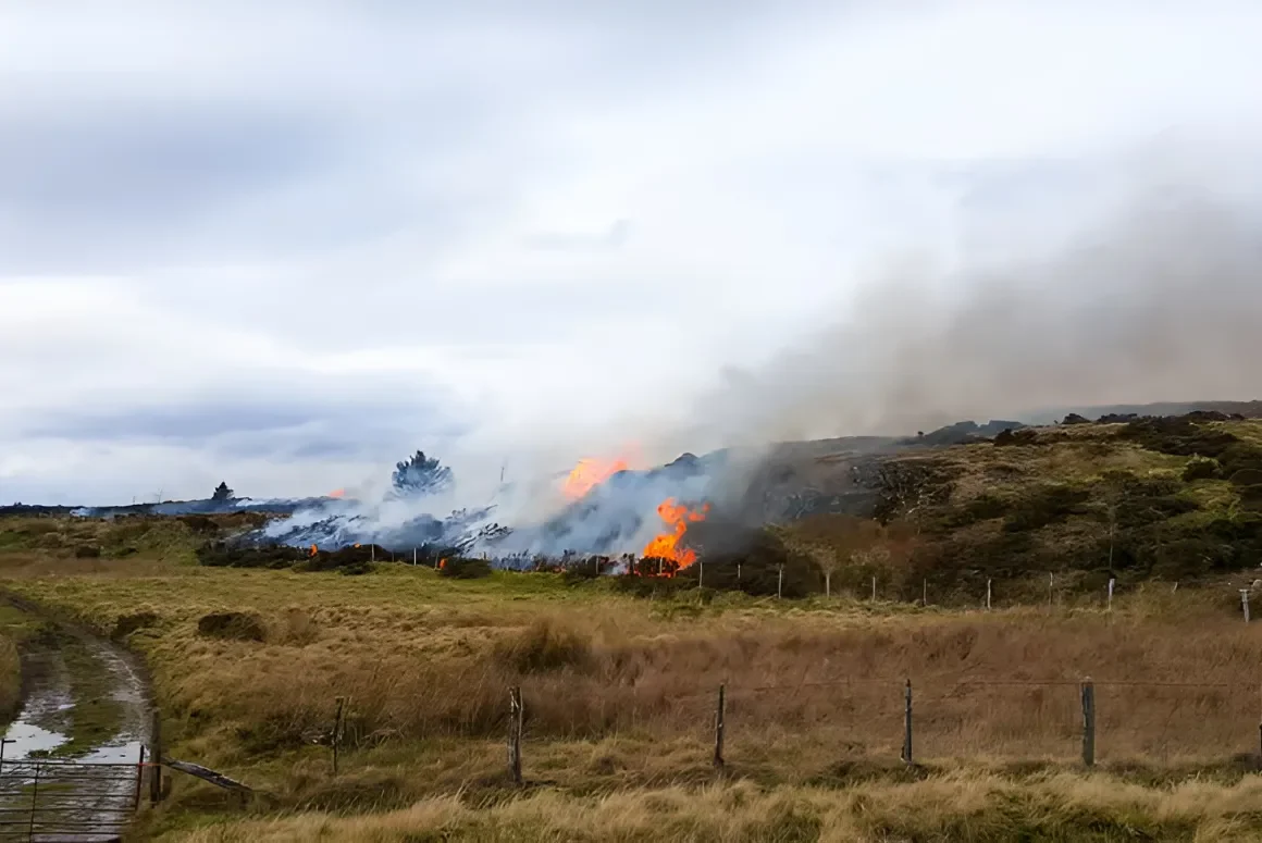 Welsh Wildfire Risk to be Assessed by Aerial Drone Technology