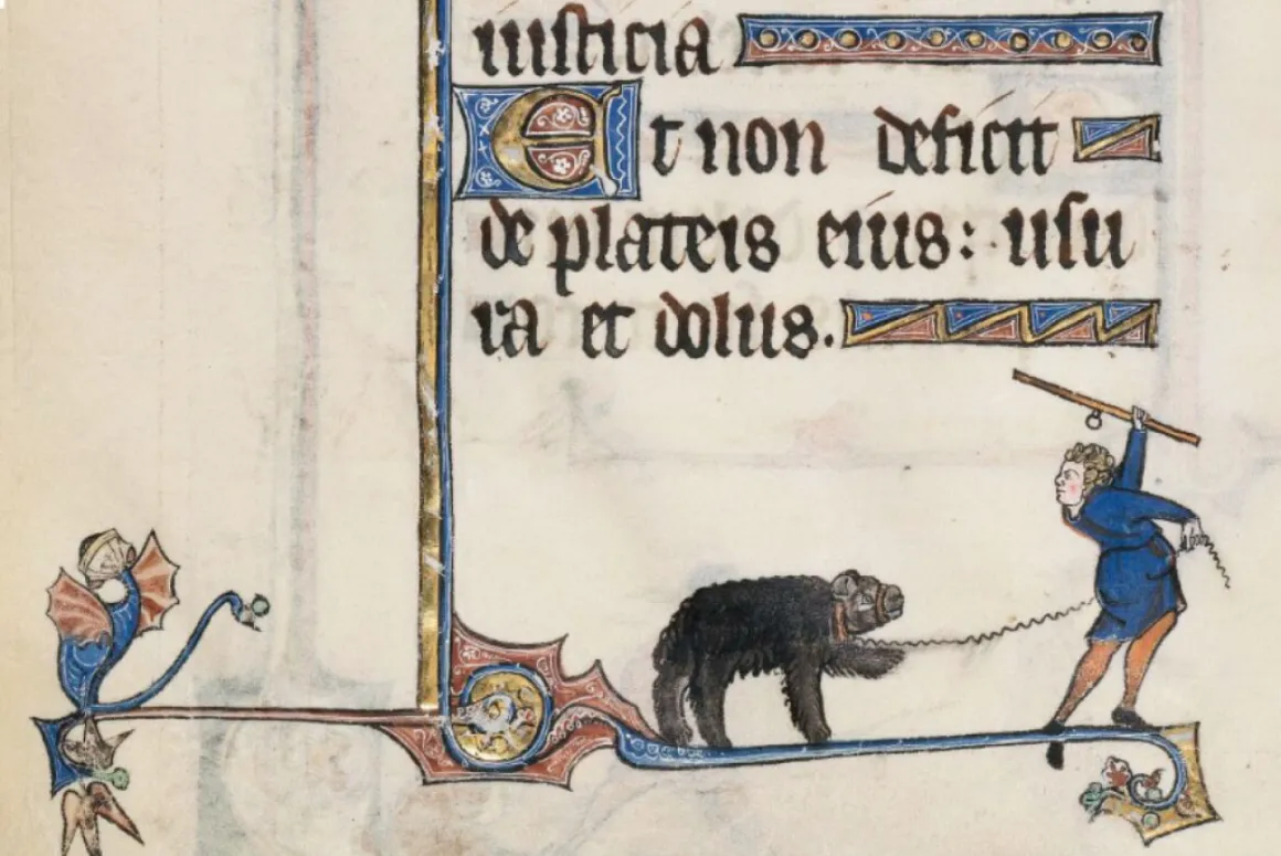 Bear Baiting Became More Common Following Norman Invasion