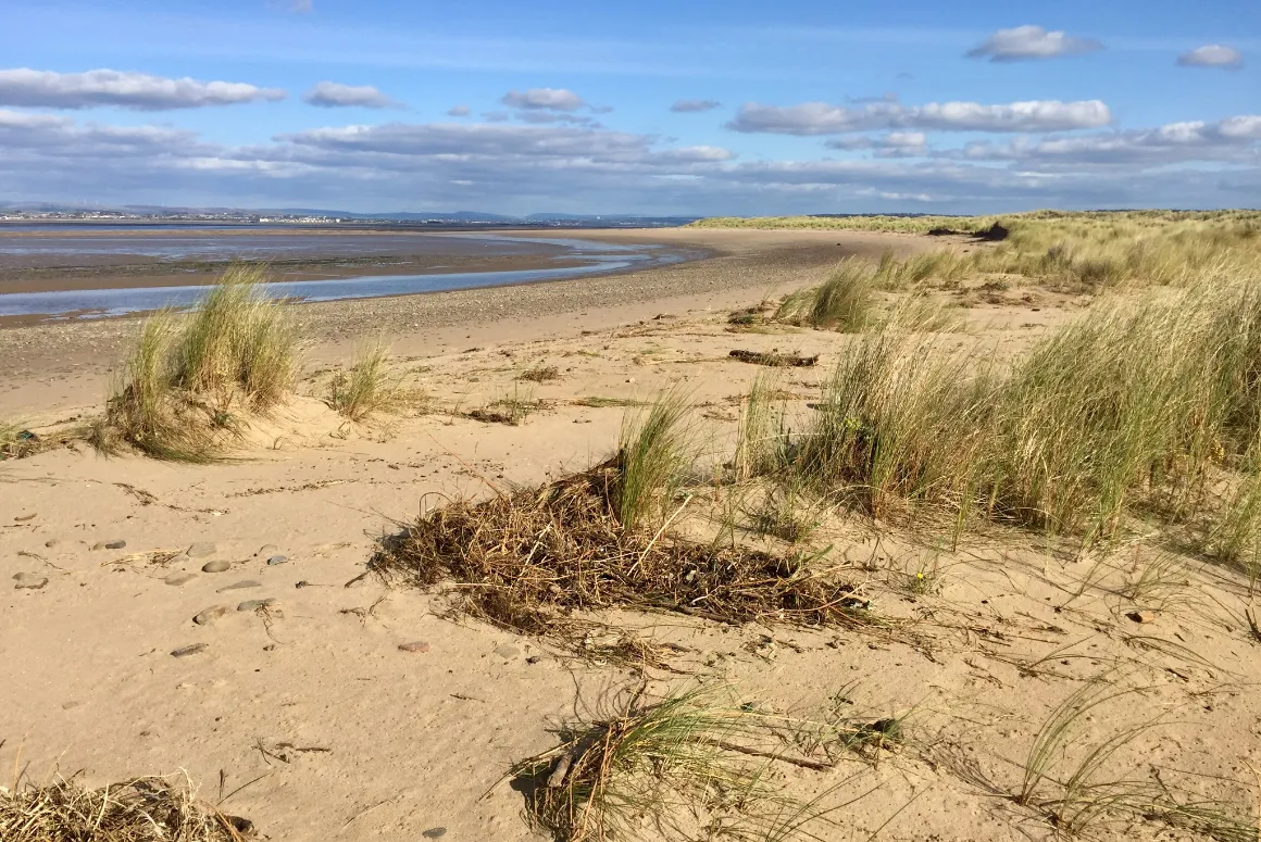 Whiteford Sands [2]