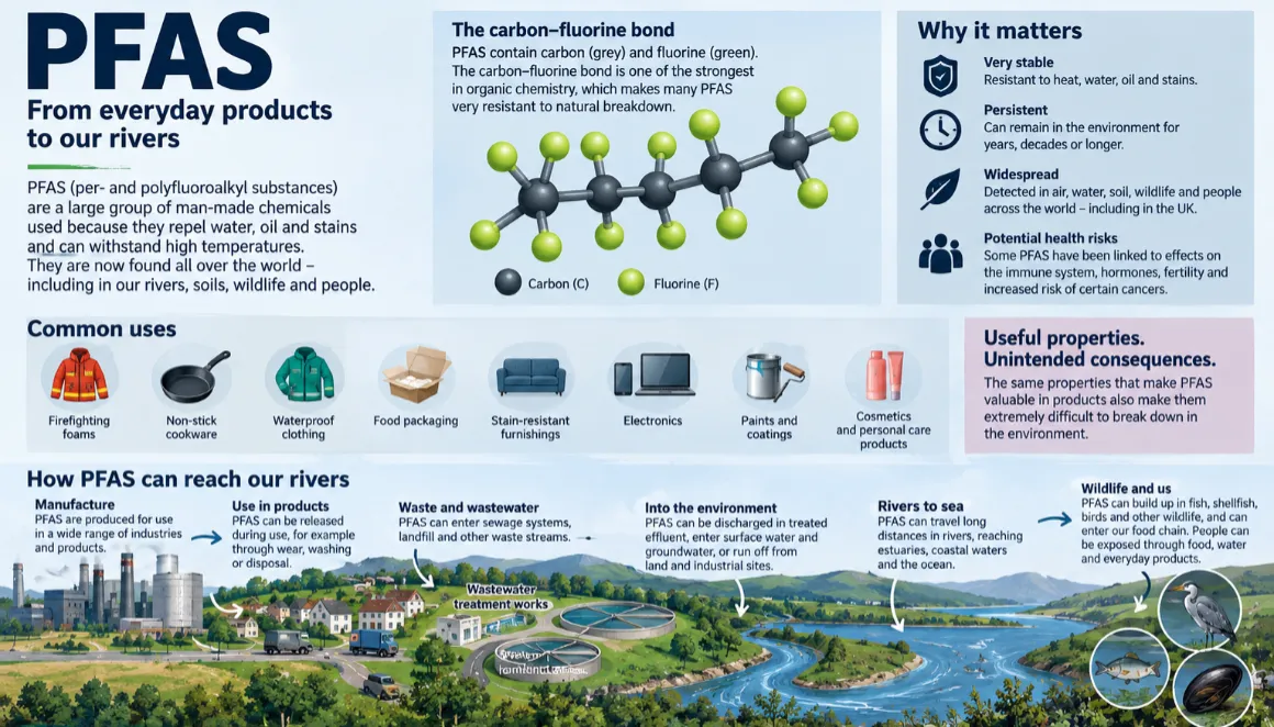 PFAS in Our Rivers: Who’s Responsible?