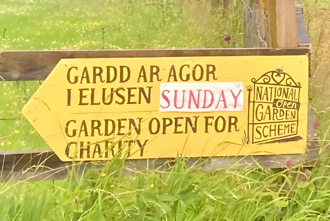 What a Great Year 2026 Has Been for Ceredigion NGS Gardens