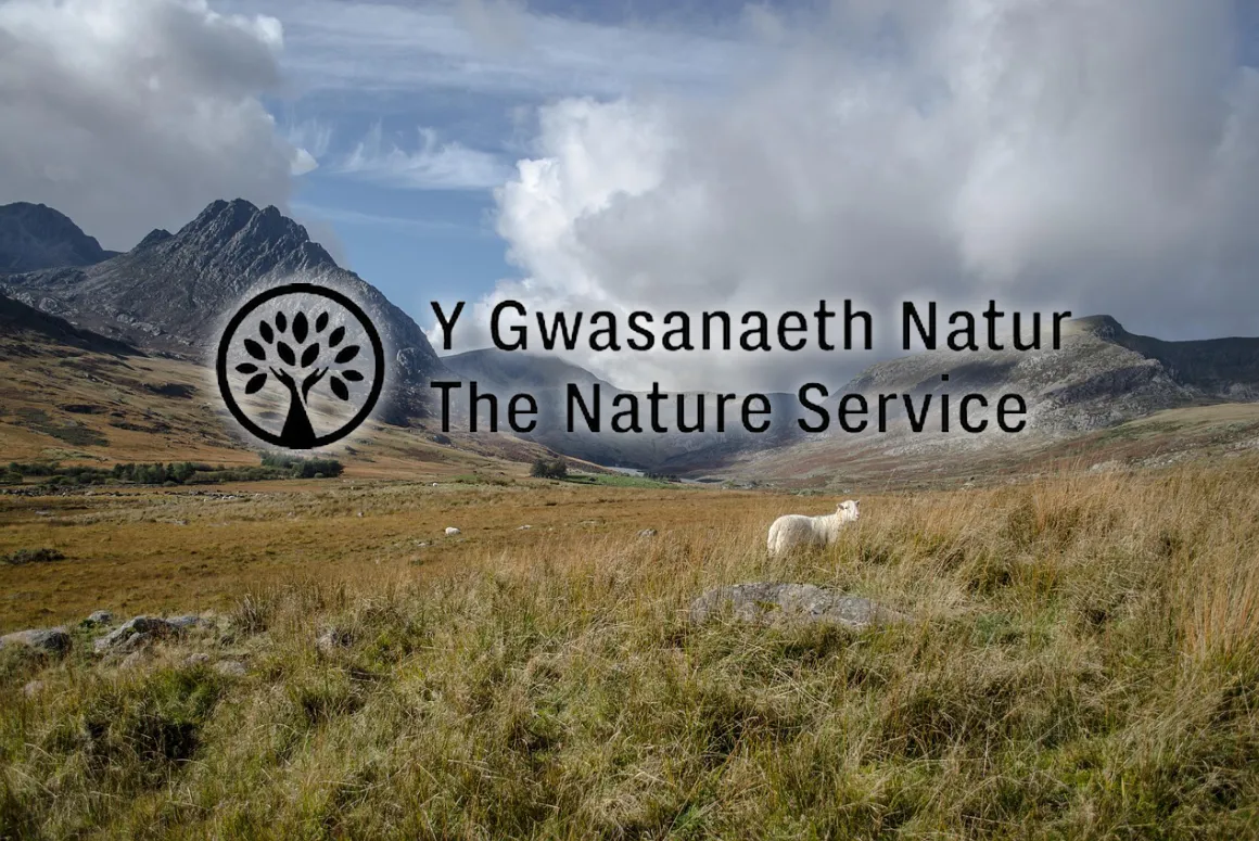 National Lottery Investment to Build a Nature Service for Wales